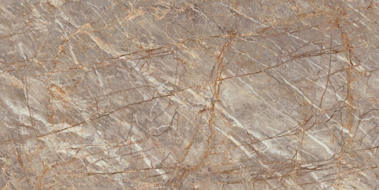 Natural Roots Bookmatch Polished 162x324 - 12mm ST