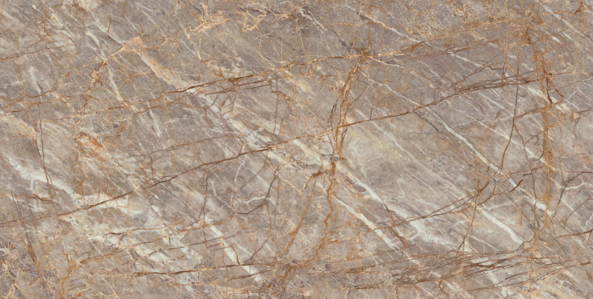 Natural Roots Bookmatch Polished 162x324 - 12mm ST