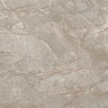 EMPIRE SILVER ROOT 60x60 Lapp