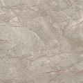 EMPIRE SILVER ROOT 60x60 Lapp