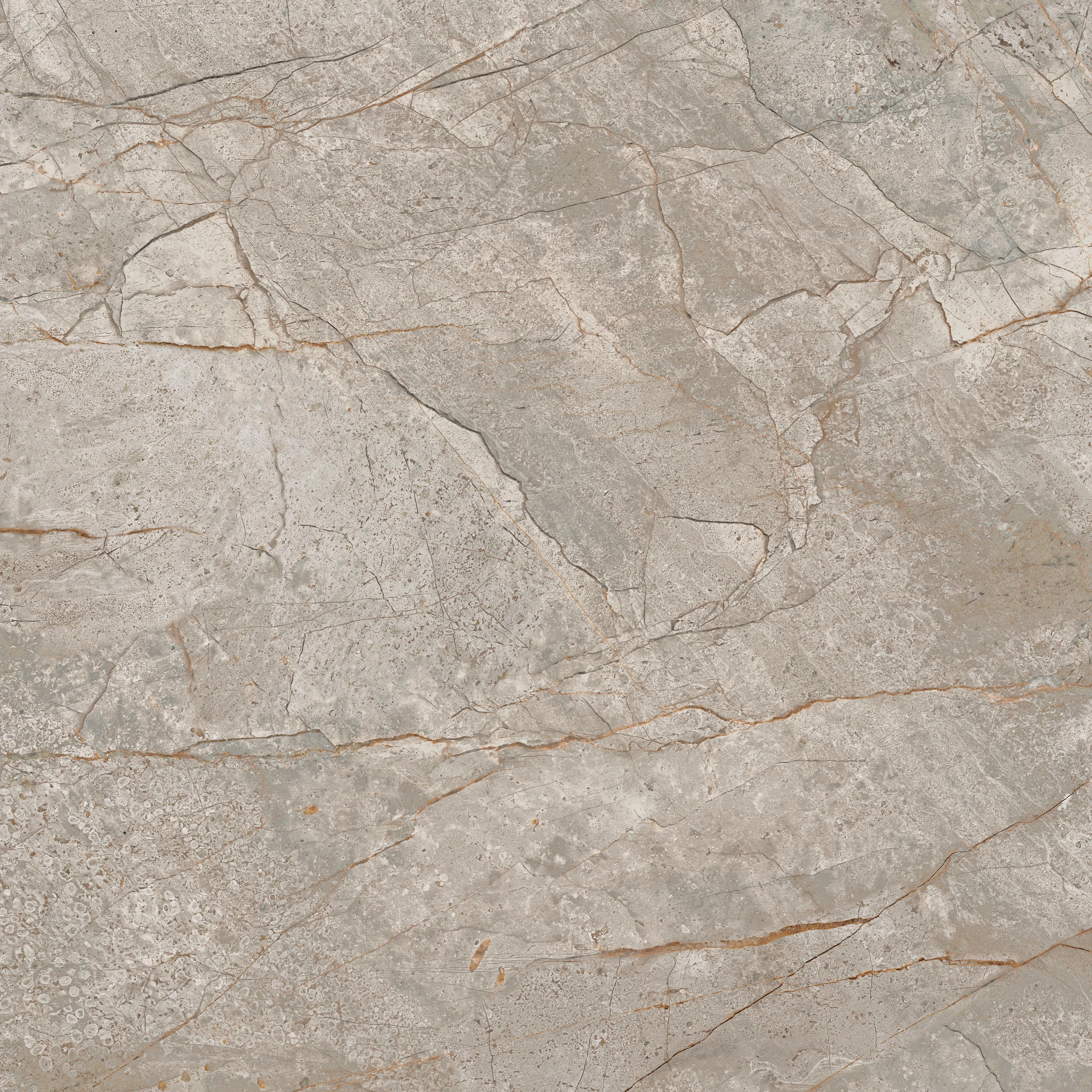 ACR Empire SilverRoot 60x60 Polished 610015000625 01