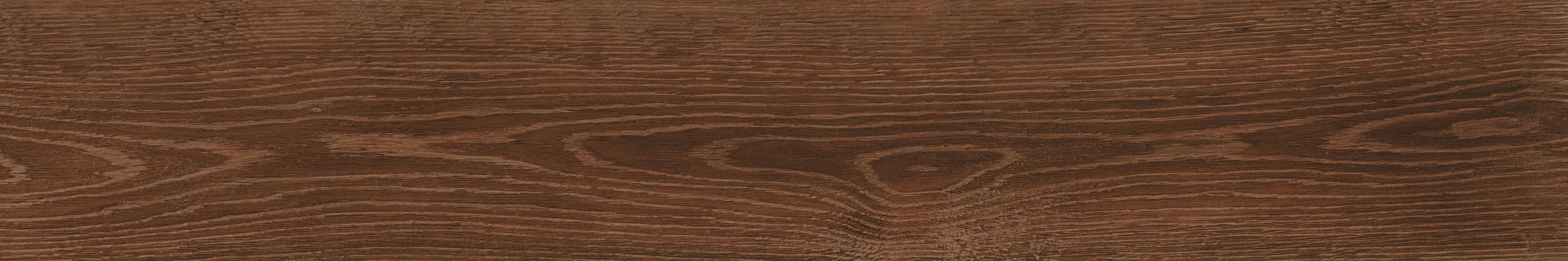 AtlasConcordeRussia Eligo Mahogany 20x120 Matte 610010001620