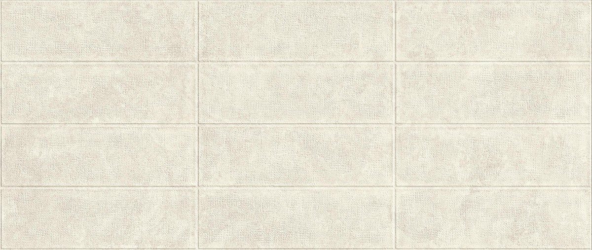 BOOST ICOR 3D Masonry Bone 50x120  