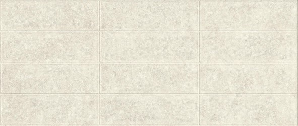BOOST ICOR 3D Masonry Bone 50x120  