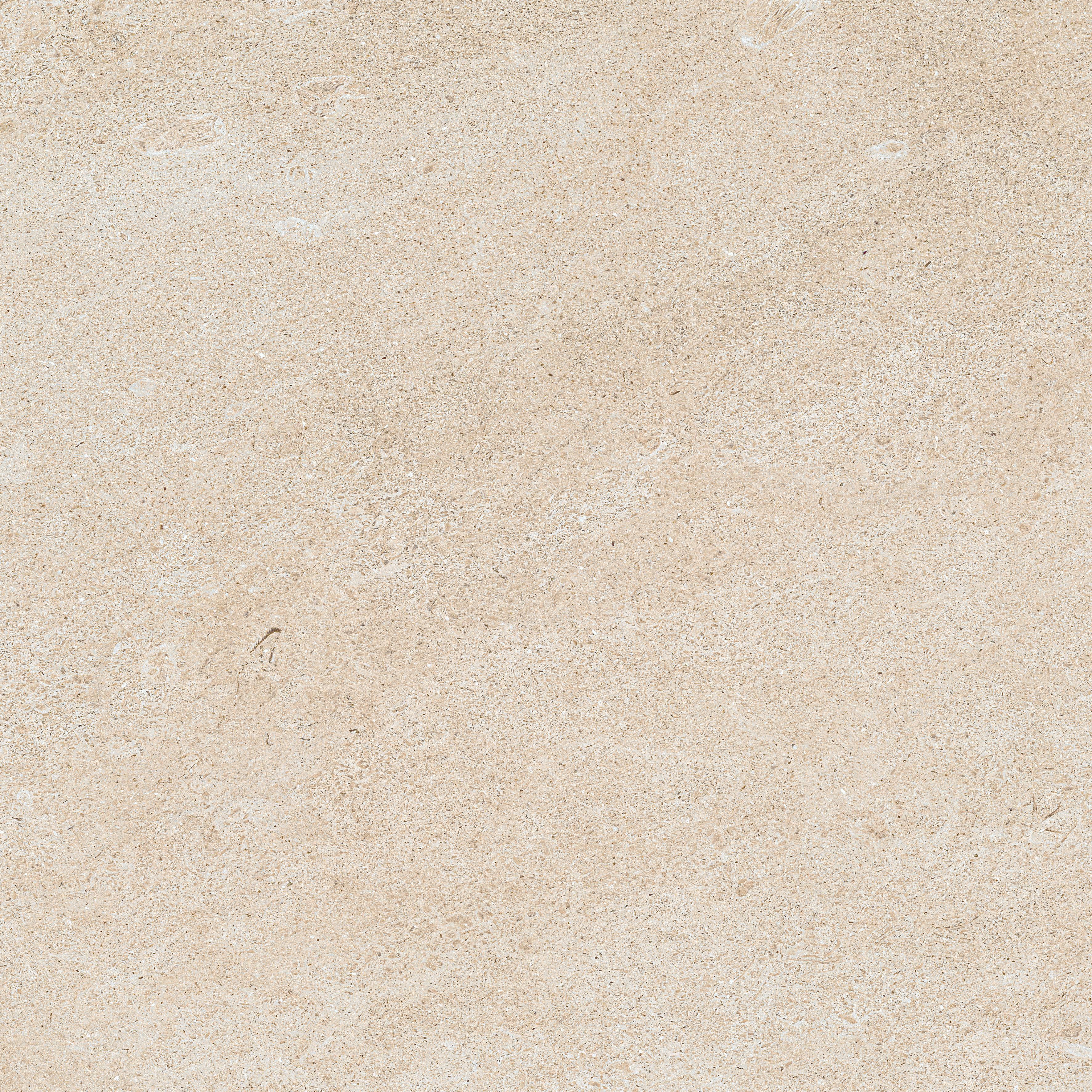 Forte dei Marmi Rock Siberian Ivory 60x60 Структурированный, Белый, 60x60