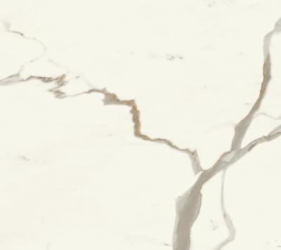 Marvel X Calacatta Sublime Polished - venature grigie su fondo bianco