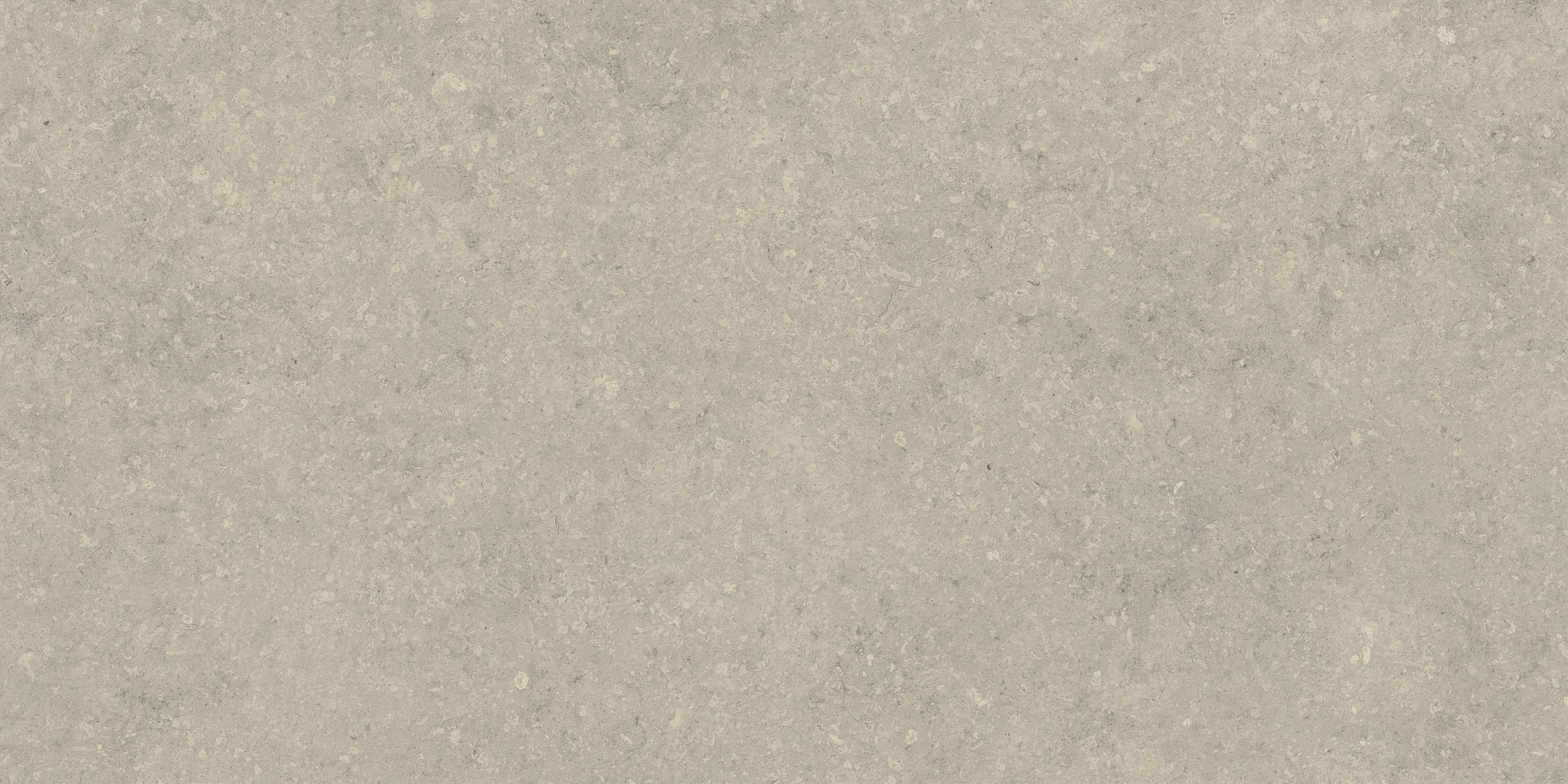 Nyra Utopia Comet 120x240 Matte Sensitech, Light gray, 120x240