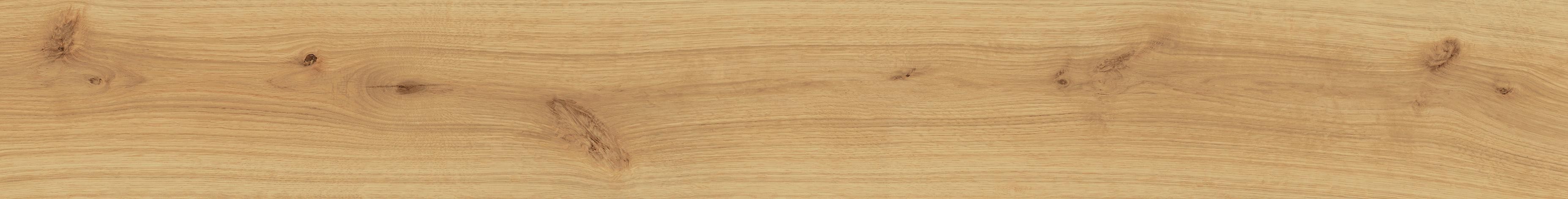 Exence Almond 18,5×150 Grip