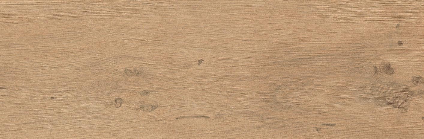 AtlasConcordeSolution Legend Cognac 19,5x59 Matte AZJM RT