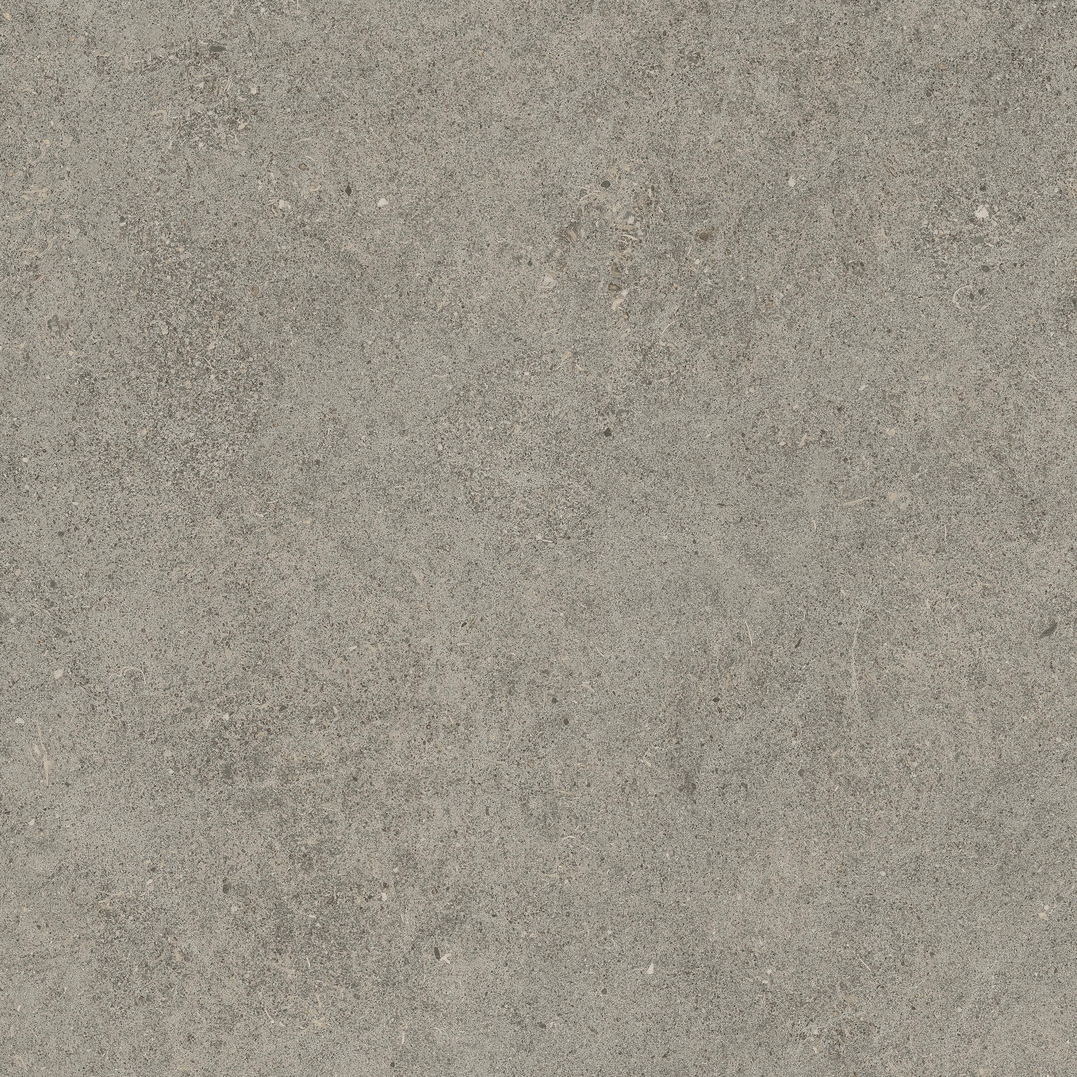 Forte dei Marmi Rock Lunar Grey 60x60 Структурированный, Серый, 60x60