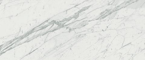 Marvel Statuario 50x120