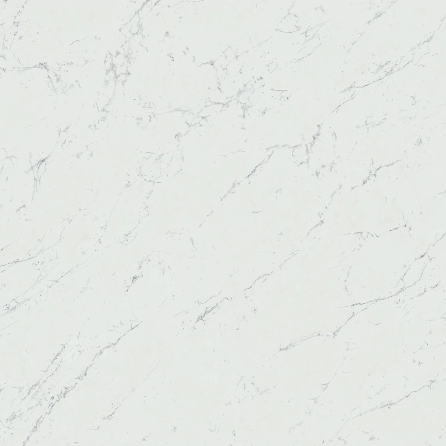 Marvel Stone Marvel Carrara Pure 120x120 Lappato: Gres porcelánico