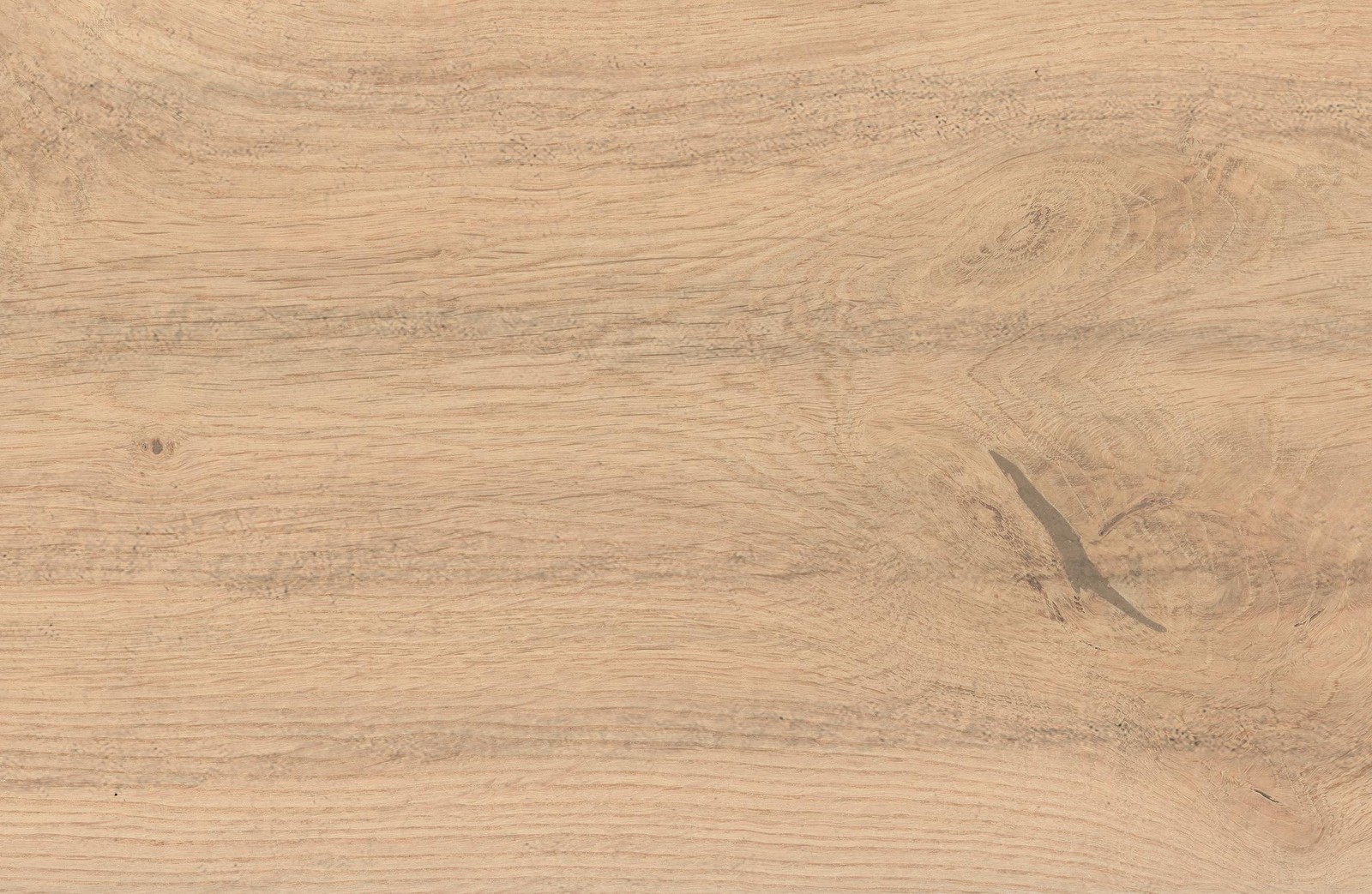 Log