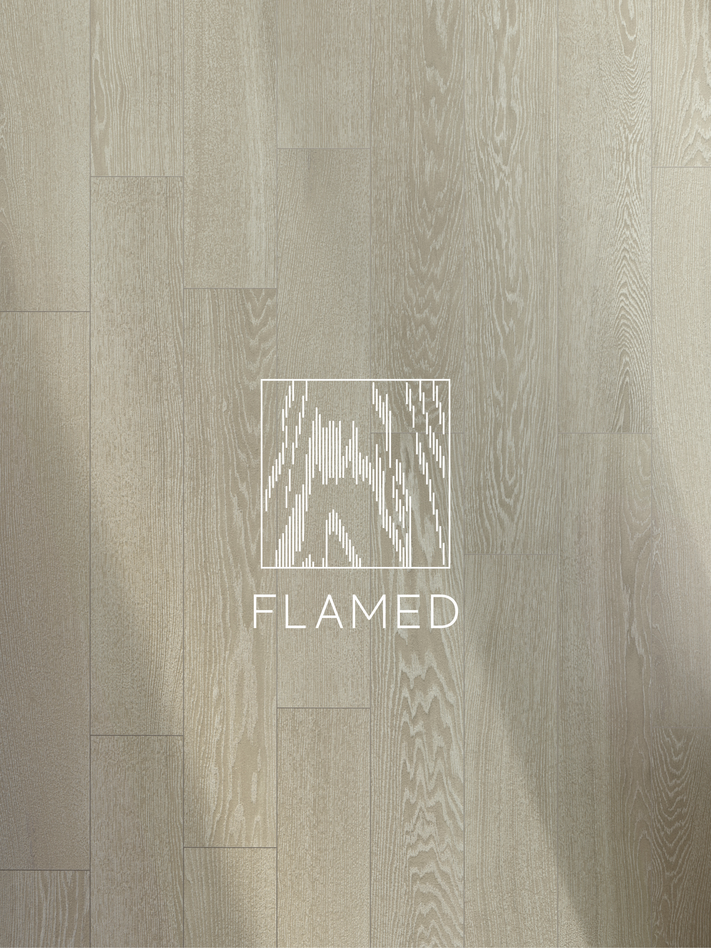 AC_LOG_STRUCTURE_IMAGE_WEB_FLAMED_notext_300ppi