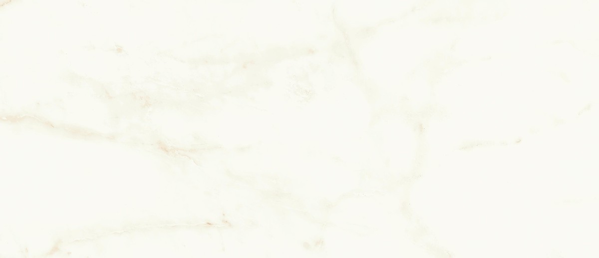 MARVEL Calacatta Delicato 50X120 Silk