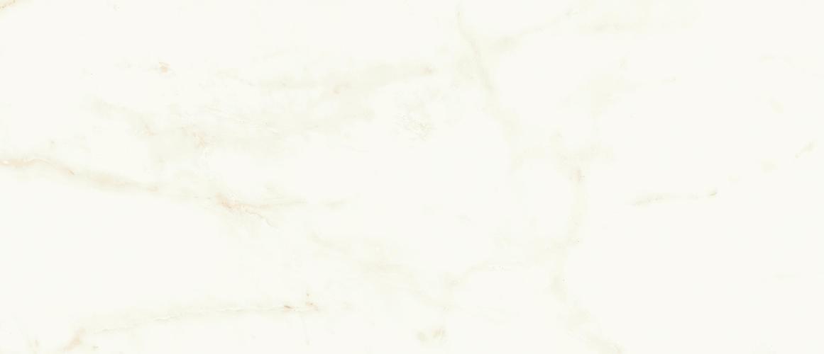 MARVEL Calacatta Delicato 50X120 Silk