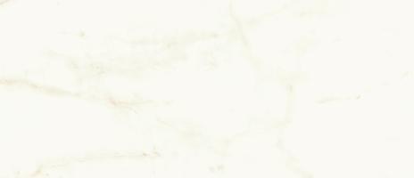 MARVEL Calacatta Delicato 50X120 Silk