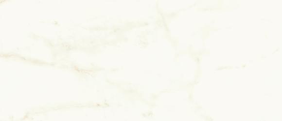 MARVEL Calacatta Delicato 50X120 Silk