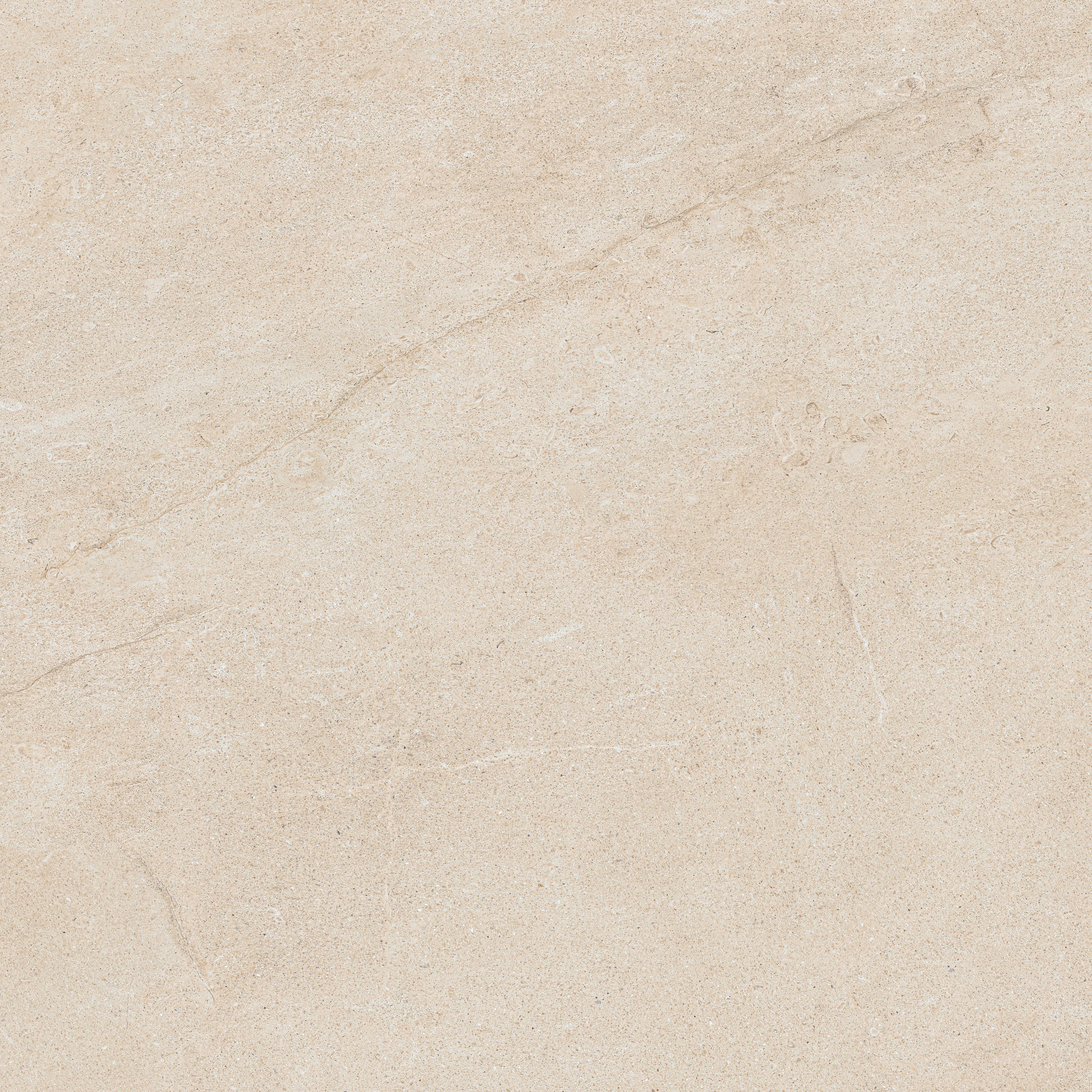 Siberian Ivory
