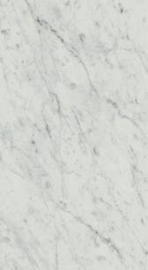 EXIGO Carrara 30,5x56 Rettificato