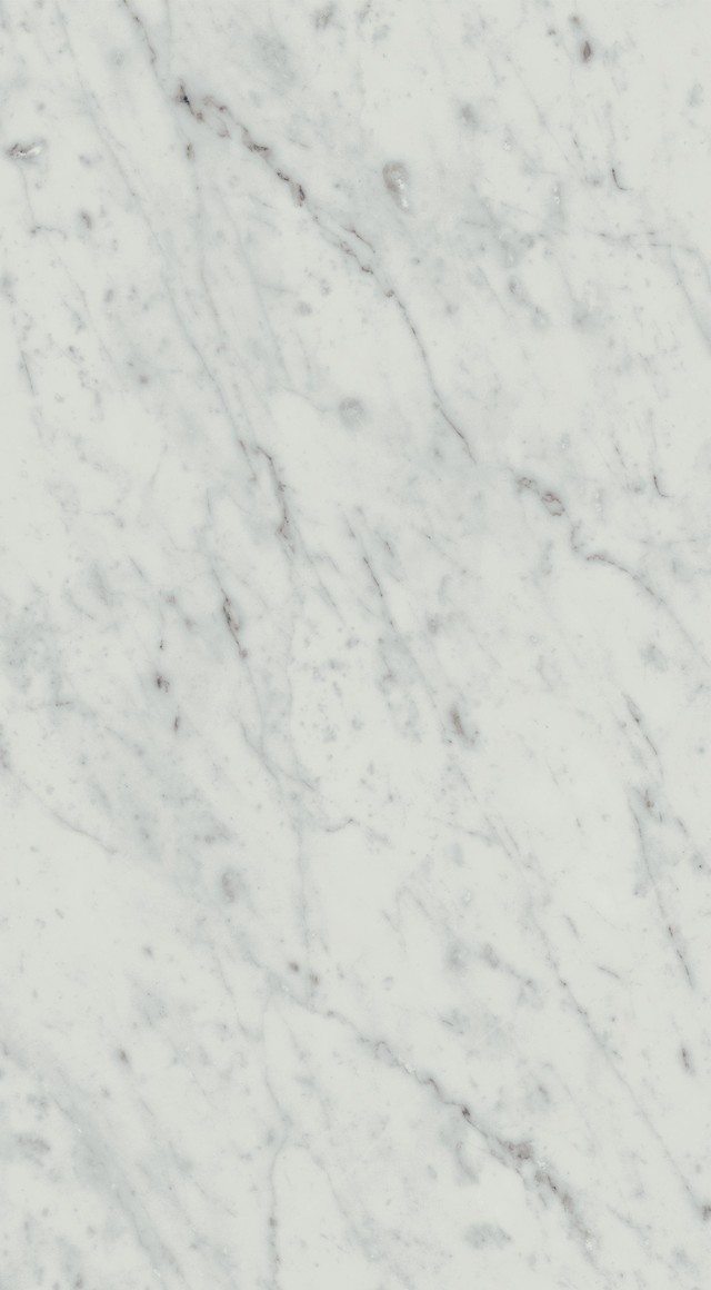 EXIGO Carrara 30,5x56 Rettificato