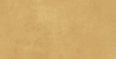 BOOST PRO Mustard 40x80