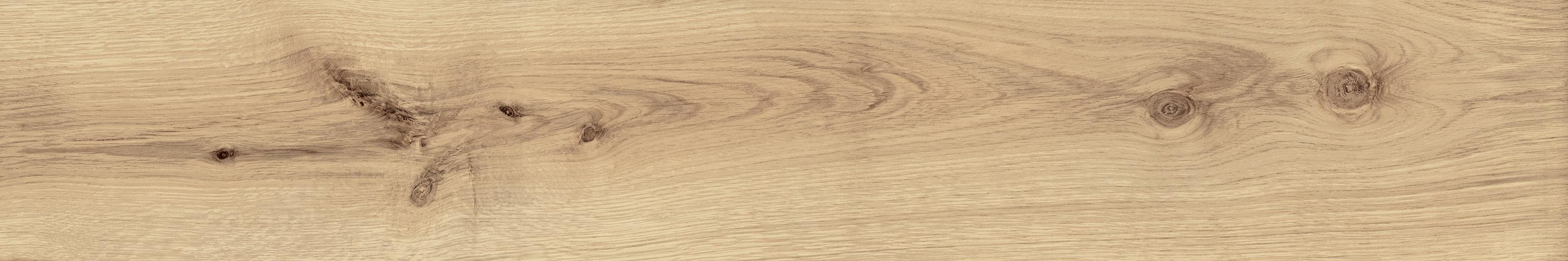 Exence Vanilla 20×120