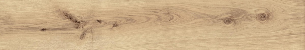 EXENCE Vanilla 20X120