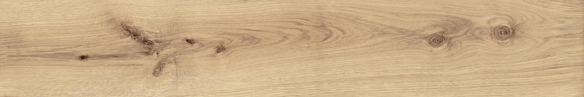 EXENCE Vanilla 20X120
