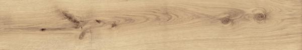 EXENCE Vanilla 20X120