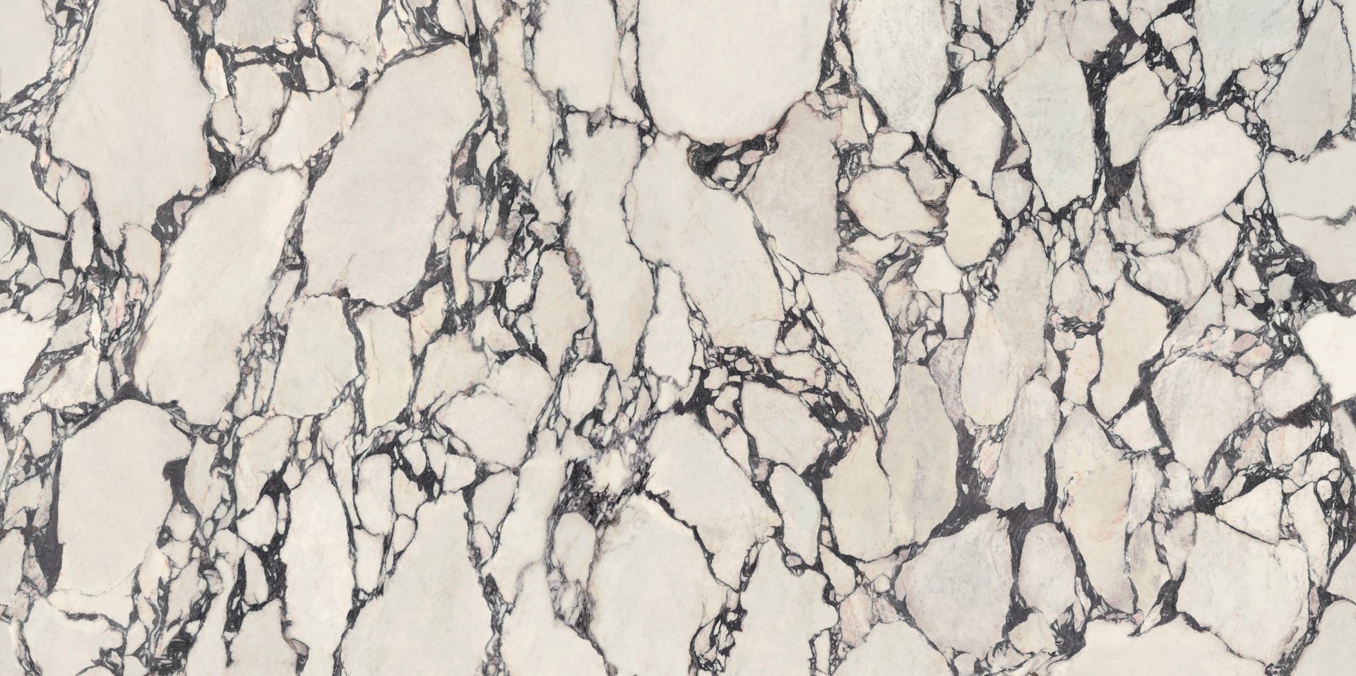 Calacatta Viola Polished 160x320 - 6mm