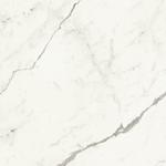 MARVEL Statuario Supremo 75x75 Silk