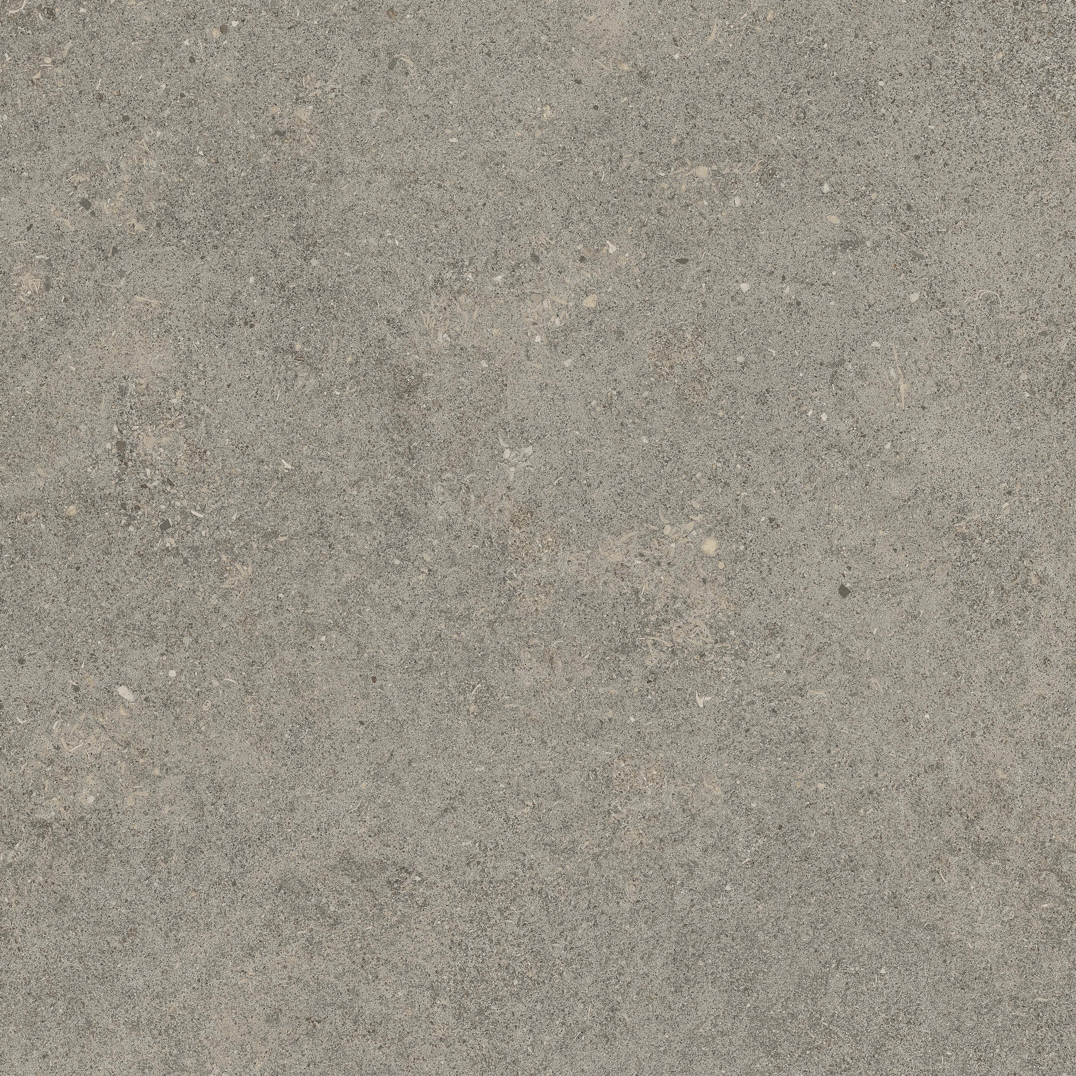 Forte dei Marmi Rock Lunar Grey 60x60 Структурированный, Серый, 60x60