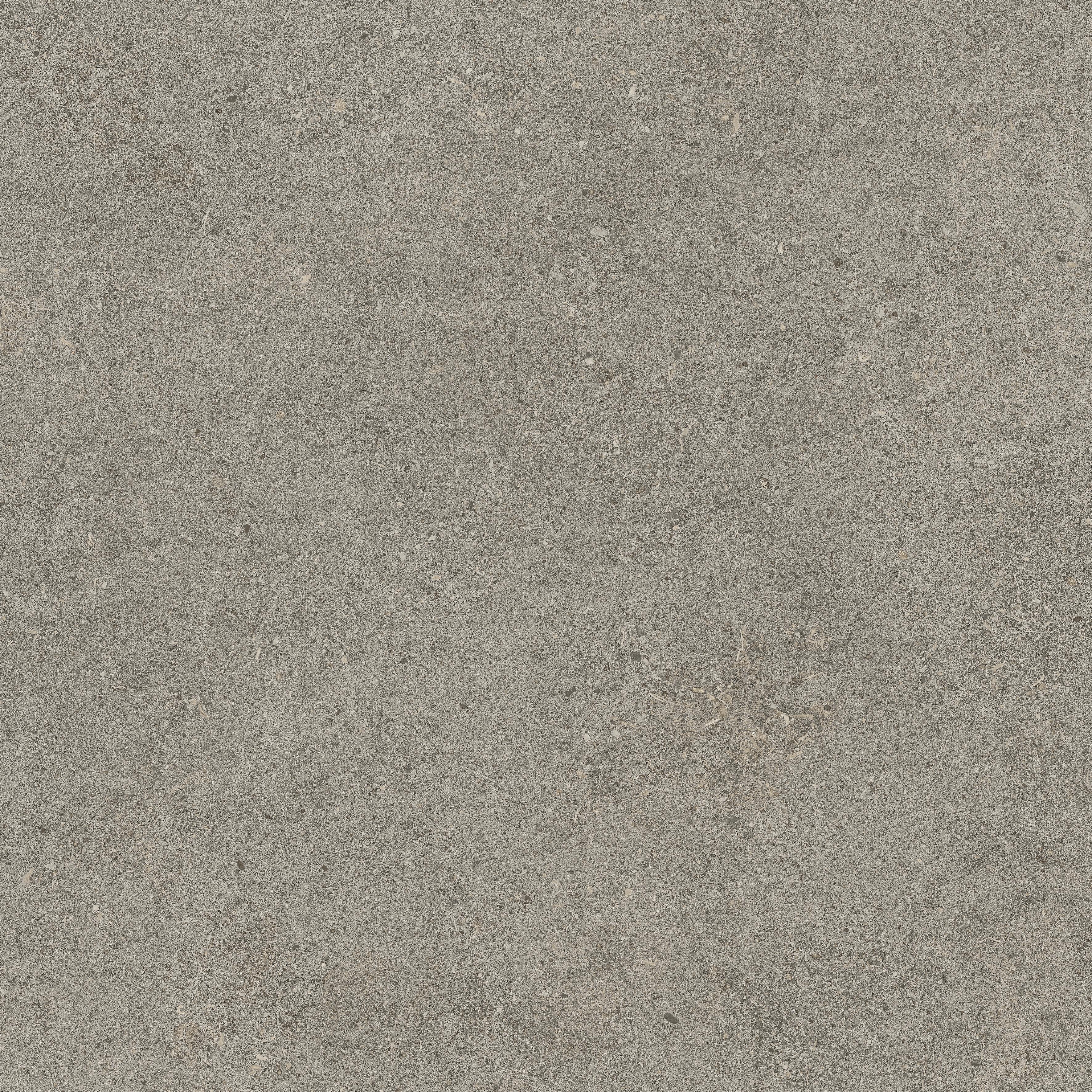 Forte dei Marmi Rock Lunar Grey 60x60 Структурированный, Серый, 60x60