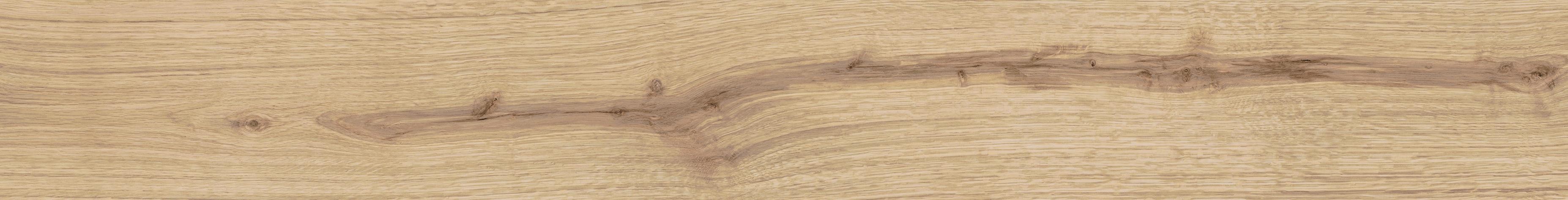 Exence Vanilla 18,5×150
