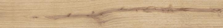 EXENCE Vanilla 18,5x150