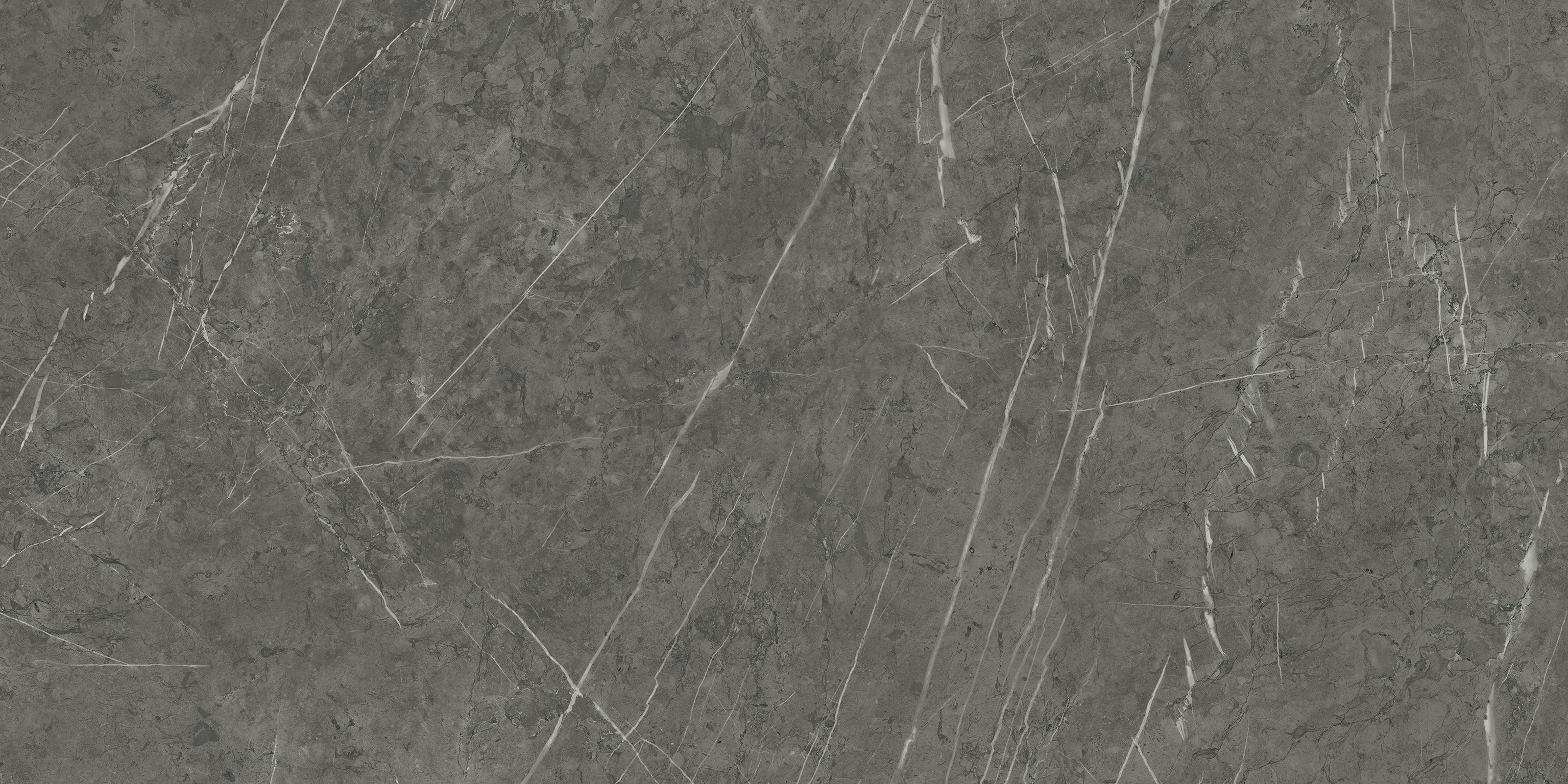 AtlasConcorde Marvel Grey-Stone 60x120 Matte A209 3