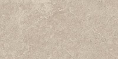 DUOLITH Ivory Field 40x80  