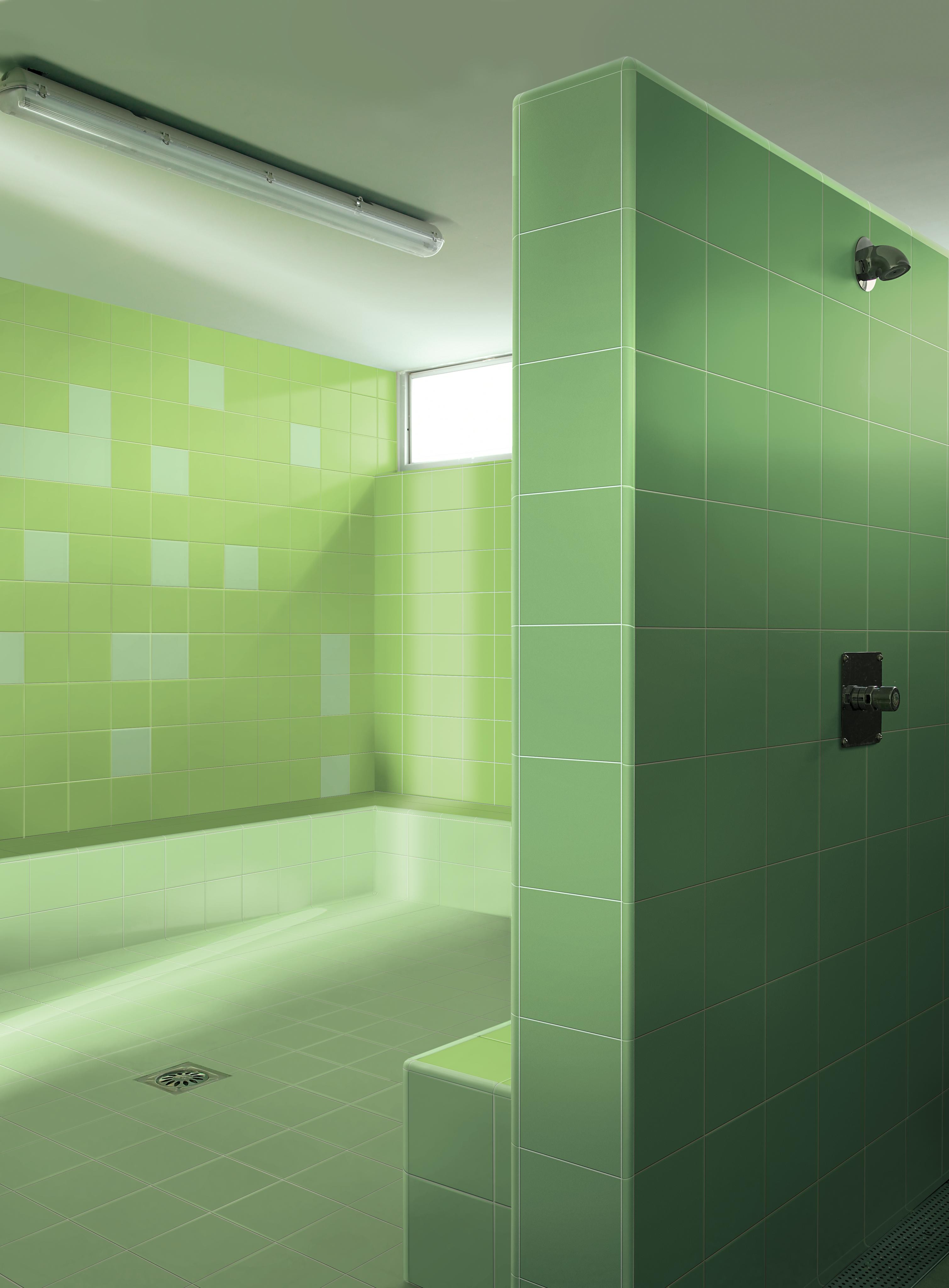 Menta, Lime, Prato, Menta Grip
