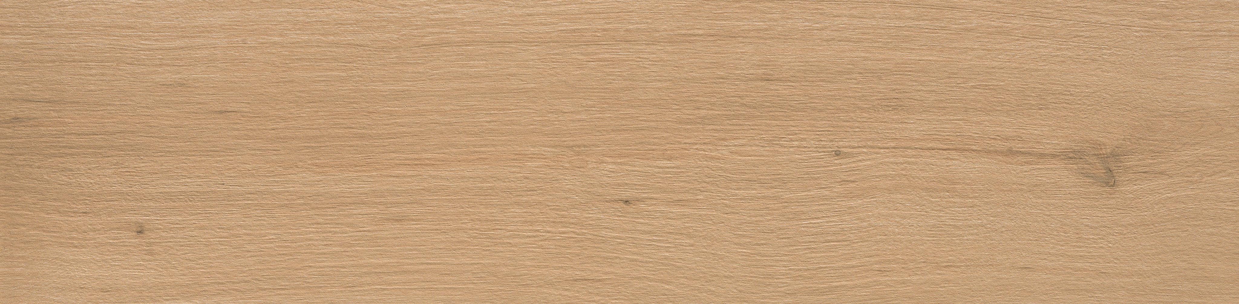AtlasConcordeRussia Verity Natural 20x120 Matte 610010001419