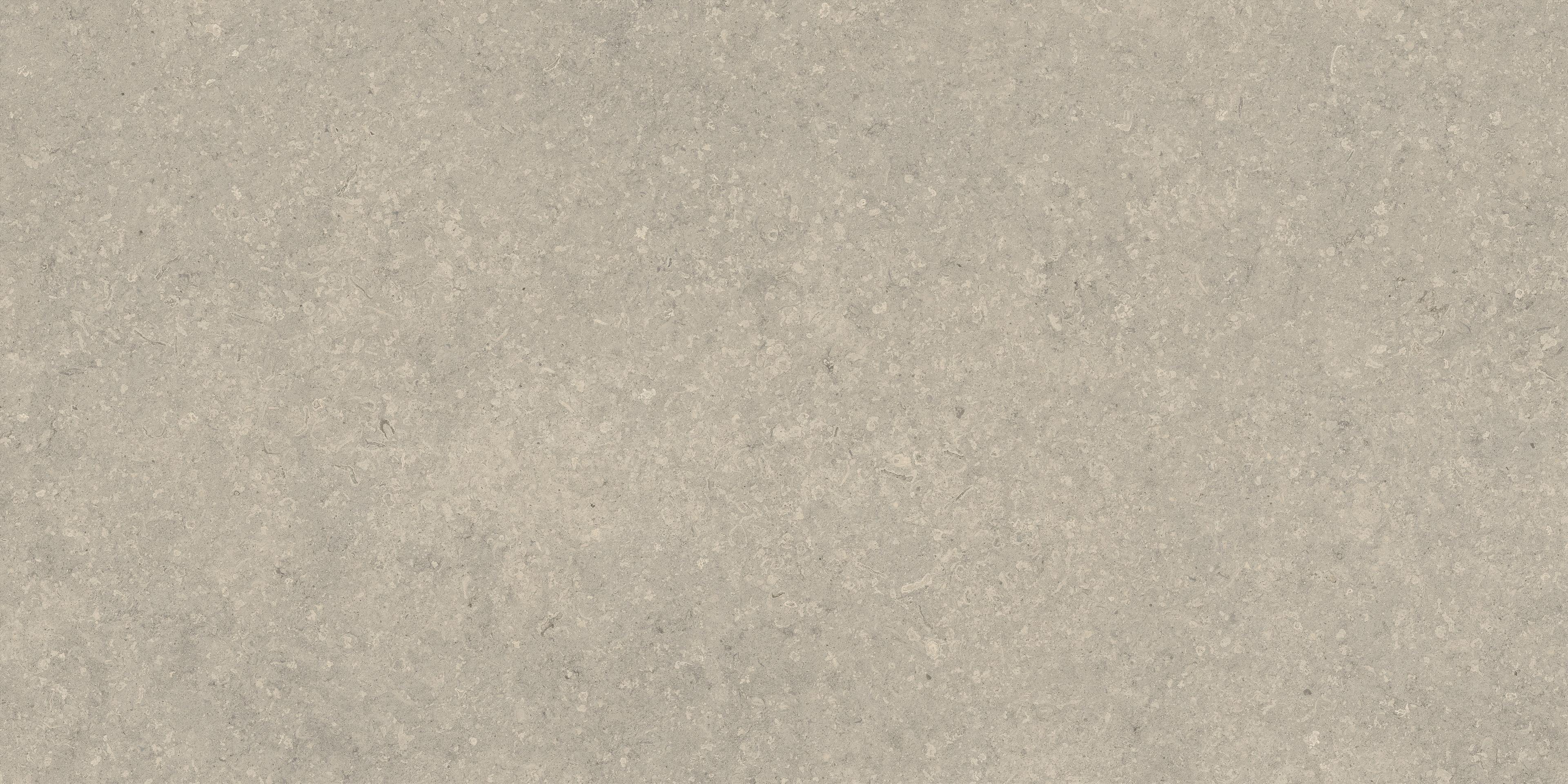 Nyra Utopia Comet 120x240 Matte Sensitech, Light gray, 120x240