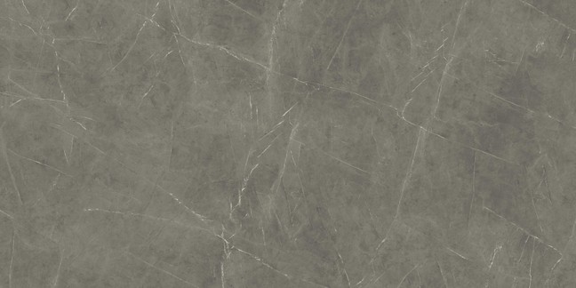 Grey Stone Matte 162x324 cm - 20mm