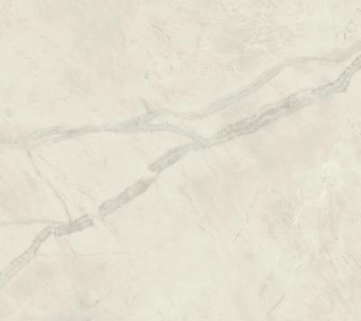 Marvel X Calacatta Perla Polished - tonalità perla