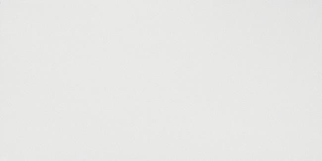 AtlasConcorde Arkshade SolidWhite 40x80 Matte 8DSW