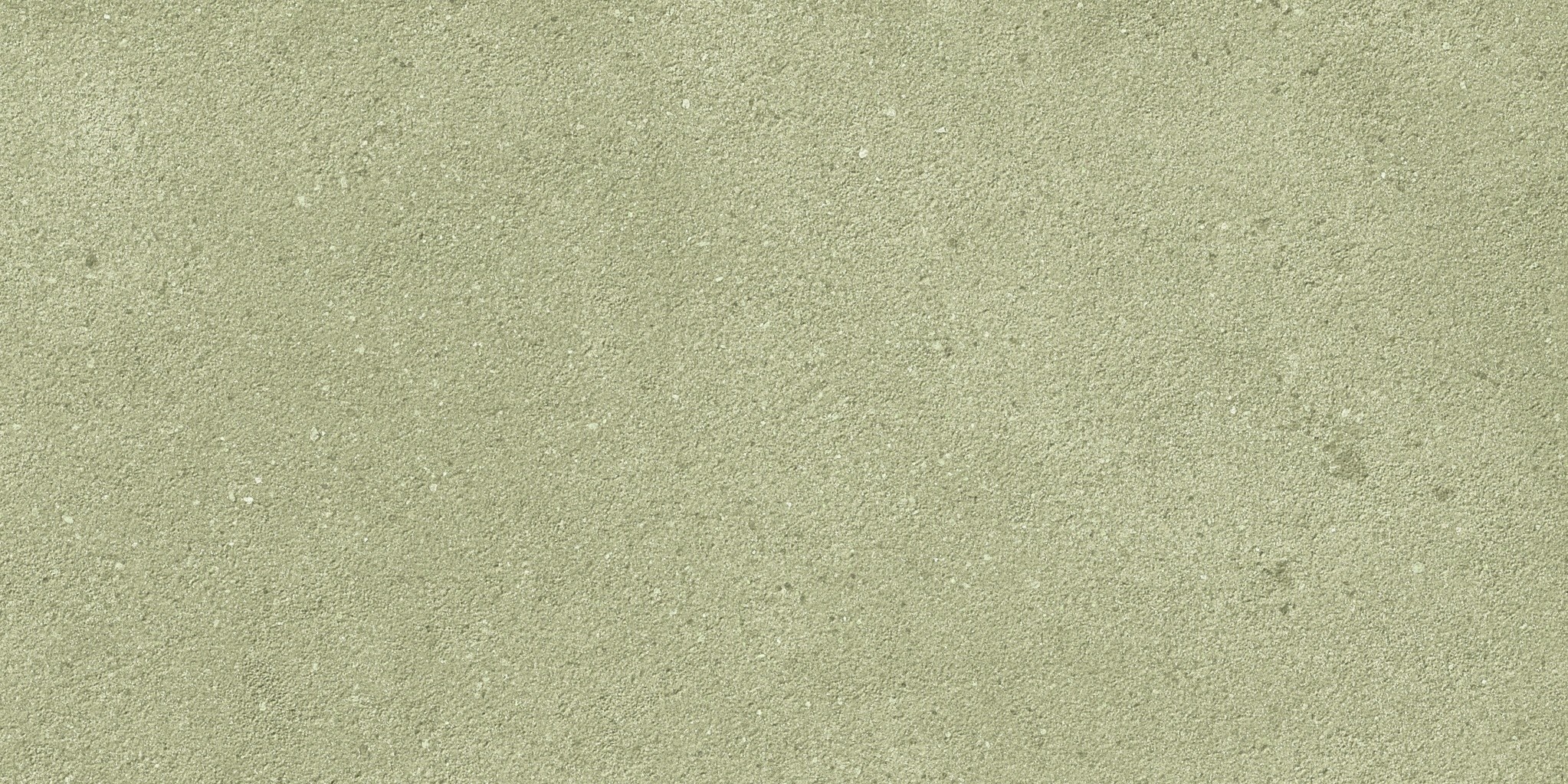 Moss
