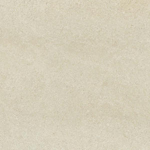 Wise Ice Mist 60x60 Lap