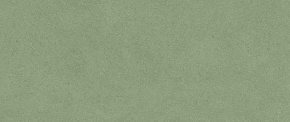 Vivia Crelis Light Green 50x120 Lucido 