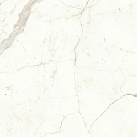 MARVEL Calacatta Prestigio 120x120 Lappato