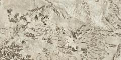 Marvel Epic Alpinus 60x120  