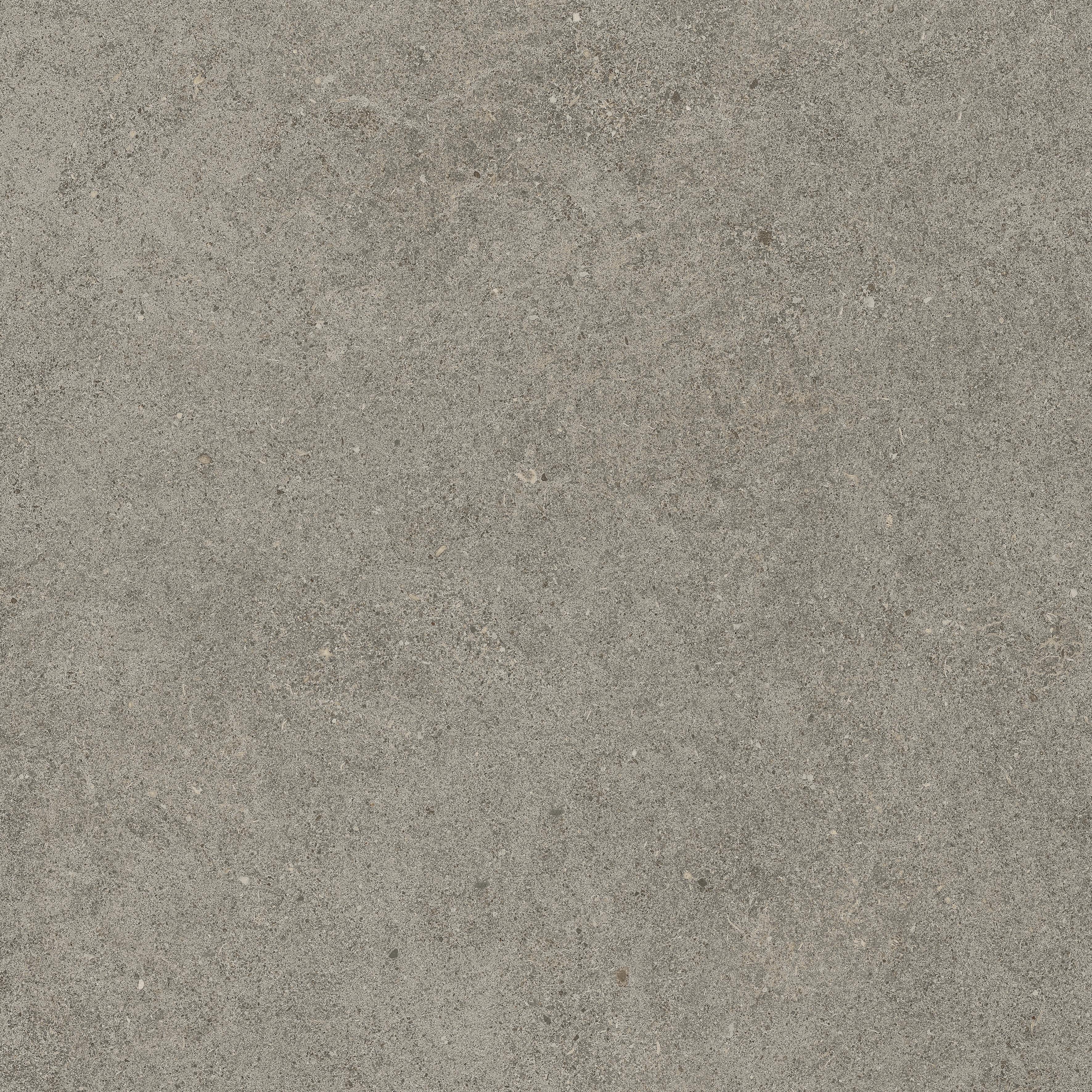 Forte dei Marmi Rock Lunar Grey 60x60 Структурированный, Серый, 60x60